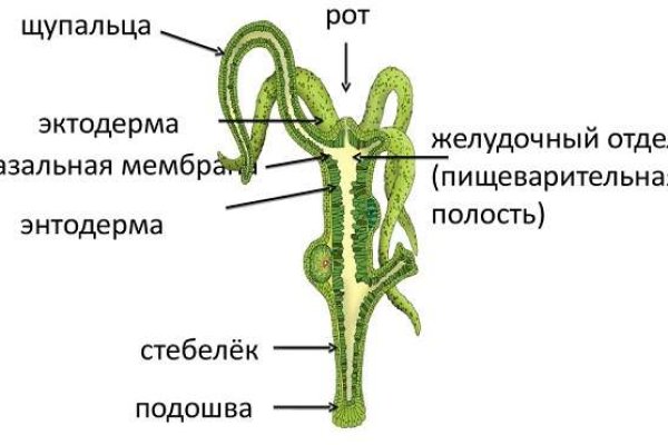 Блэк спрут телега